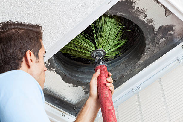 Best Home Air Vent Cleaning  in Bottineau, ND