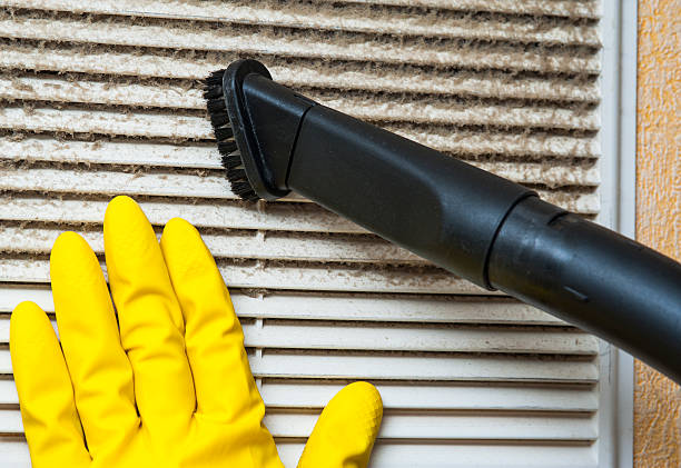 Best Professional Duct Cleaning Services  in Bottineau, ND